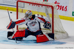 Windsor-Spitfires-vs-Flint-Firebirds-December-31-2024-In-Play-magazine-48
