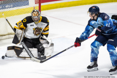 Hamilton-Bulldogs-at-Windsor-Spitfires-February-4-2023-12