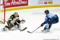 Hamilton-Bulldogs-at-Windsor-Spitfires-February-4-2023-16