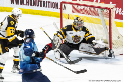 Hamilton-Bulldogs-at-Windsor-Spitfires-February-4-2023-22