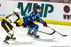 Hamilton-Bulldogs-at-Windsor-Spitfires-February-4-2023-32