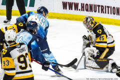 Hamilton-Bulldogs-at-Windsor-Spitfires-February-4-2023-34