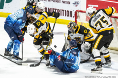 Hamilton-Bulldogs-at-Windsor-Spitfires-February-4-2023-39
