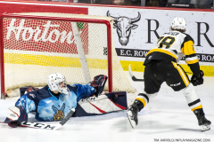 Hamilton-Bulldogs-at-Windsor-Spitfires-February-4-2023-40