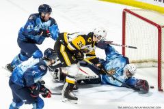 Hamilton-Bulldogs-at-Windsor-Spitfires-February-4-2023-49