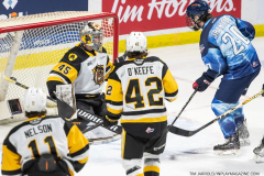 Hamilton-Bulldogs-at-Windsor-Spitfires-February-4-2023-67