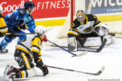 Hamilton-Bulldogs-at-Windsor-Spitfires-February-4-2023-71
