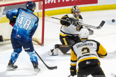 Hamilton-Bulldogs-at-Windsor-Spitfires-February-4-2023-8