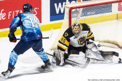 Hamilton-Bulldogs-at-Windsor-Spitfires-February-4-2023-9