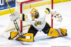 Sarnia-Sting-at-Windsor-Spitfires-1-27-22-10