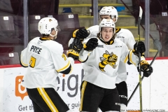 Sarnia-Sting-at-Windsor-Spitfires-1-27-22-14