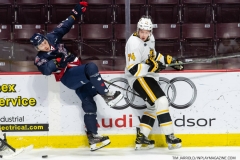Sarnia-Sting-at-Windsor-Spitfires-1-27-22-24