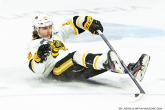 Sarnia-Sting-at-Windsor-Spitfires-1-27-22-6