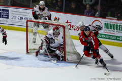 Windsor-Spitfires-vs-Guelph-Storm-January-2-2025-In-Play-magazine-37