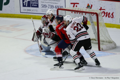 Windsor-Spitfires-vs-Guelph-Storm-January-2-2025-In-Play-magazine-39