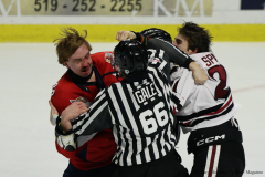 Windsor-Spitfires-vs-Guelph-Storm-January-2-2025-In-Play-magazine-42