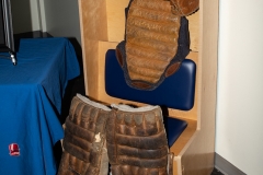 Erie-Otters-at-Windsor-Spitfires-Nov-18-2021-33