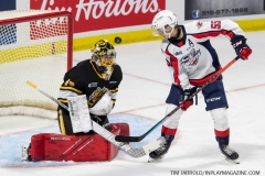 Sarnia-Sting-@-Windsor-Spitfires-Oct-7-2021-31