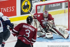 Spitfires vs Guelph Sept 24 2017 27