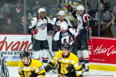 Windsor Spitfires vs Kingston Nov 24 2017 (12)
