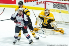 Windsor Spitfires vs Kingston Nov 24 2017 (17)