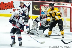 Windsor Spitfires vs Kingston Nov 24 2017 (28)