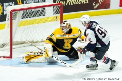 Windsor Spitfires vs Kingston Nov 24 2017 (31)