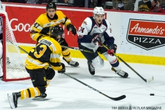 Windsor Spitfires vs Kingston Nov 24 2017 (4)