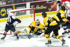 Windsor Spitfires vs Kingston Nov 24 2017 (6)
