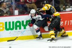 Windsor Spitfires vs Kingston Nov 24 2017 (8)