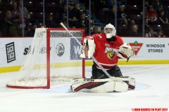 WIndsor Spitfires vs Owen Sound Attack Nov 16 2017 (9)