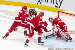 Stars-vs-Red-Wings-October-6-2019-39