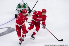 Stars-vs-Red-Wings-October-6-2019-9