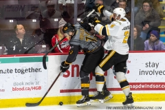Sarnia-Sting-at-Windsor-Spitfires-February-8-2020-17