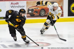 Sarnia-Sting-at-Windsor-Spitfires-February-8-2020-18