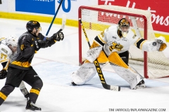 Sarnia-Sting-at-Windsor-Spitfires-February-8-2020-19