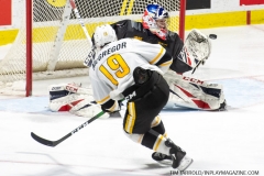 Sarnia-Sting-at-Windsor-Spitfires-February-8-2020-20