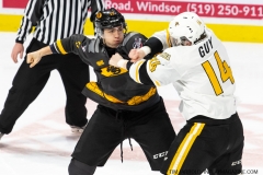Sarnia-Sting-at-Windsor-Spitfires-February-8-2020-22