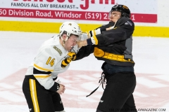 Sarnia-Sting-at-Windsor-Spitfires-February-8-2020-23