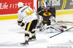 Sarnia-Sting-at-Windsor-Spitfires-February-8-2020-24