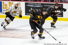 Sarnia-Sting-at-Windsor-Spitfires-February-8-2020-25