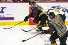 Sarnia-Sting-at-Windsor-Spitfires-February-8-2020-3
