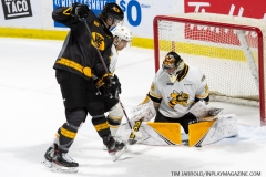 Sarnia-Sting-at-Windsor-Spitfires-February-8-2020-31