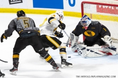 Sarnia-Sting-at-Windsor-Spitfires-February-8-2020-32