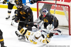 Sarnia-Sting-at-Windsor-Spitfires-February-8-2020-33