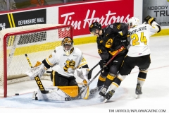 Sarnia-Sting-at-Windsor-Spitfires-February-8-2020-39