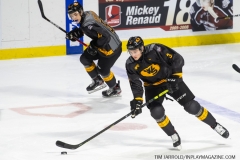 Sarnia-Sting-at-Windsor-Spitfires-February-8-2020-4