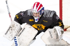 Sarnia-Sting-at-Windsor-Spitfires-February-8-2020-47