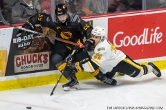 Sarnia-Sting-at-Windsor-Spitfires-February-8-2020-5
