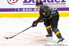 Sarnia-Sting-at-Windsor-Spitfires-February-8-2020-8